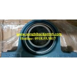 GỐI ĐỠ UCP213 ASAHI